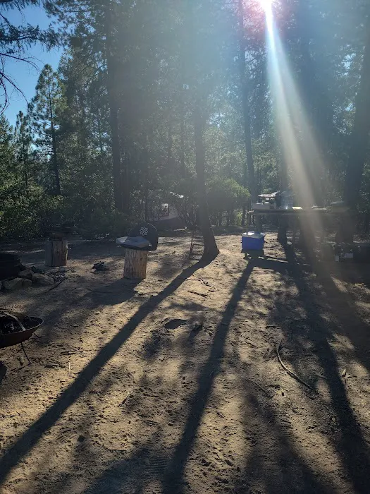 Camp Becausewecan Picture 4