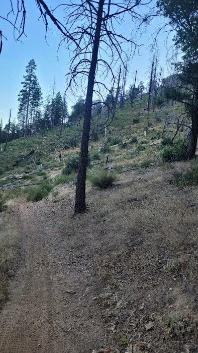 Camp Becausewecan Picture 3