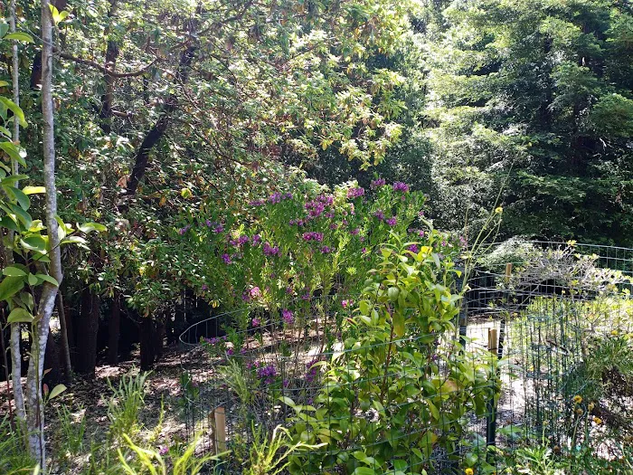 El Camino Mobile Home Park Picture 1