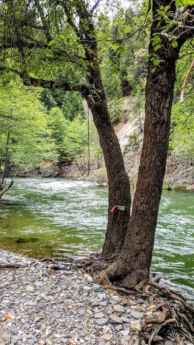 Spanish Creek Campground Picture 8