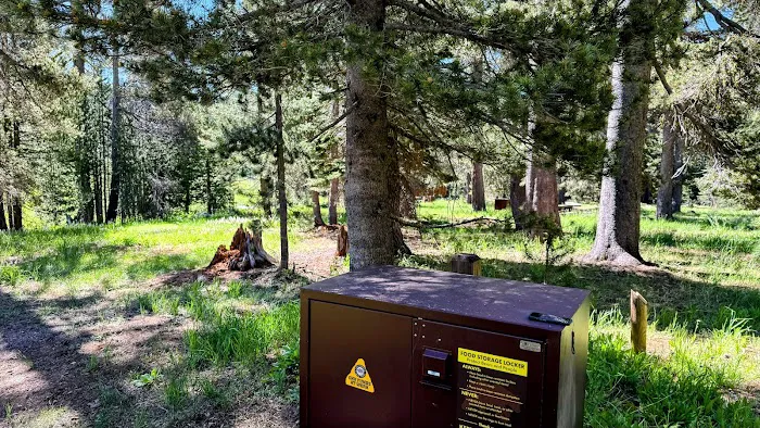 Brady's Camp Campground Picture 6