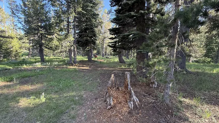 Brady's Camp Campground Picture 5