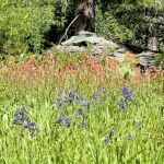Brady's Camp Campground