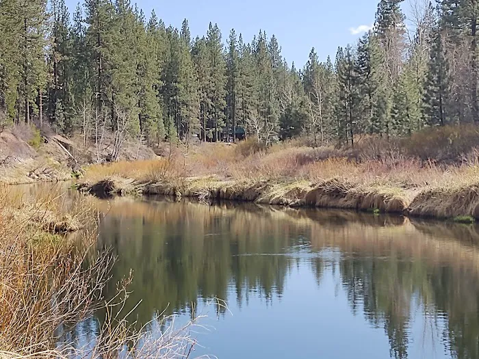 Little Bear RV Park Picture 3