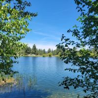 Little Bear RV Park ico