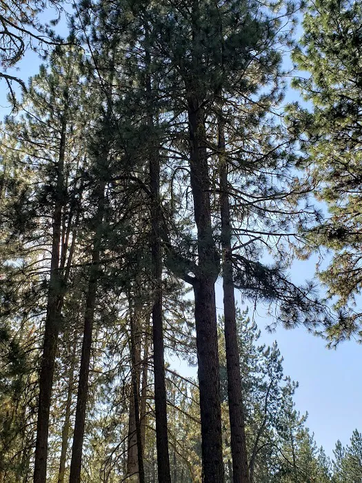 Little Bear RV Park Picture 9