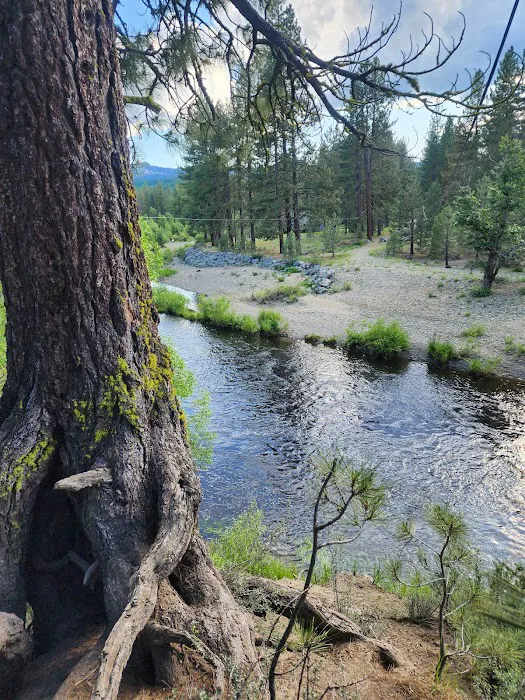 Little Bear RV Park Picture 4
