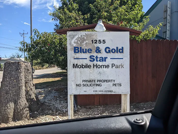 Blue & Gold Star Mobile Home Picture 7