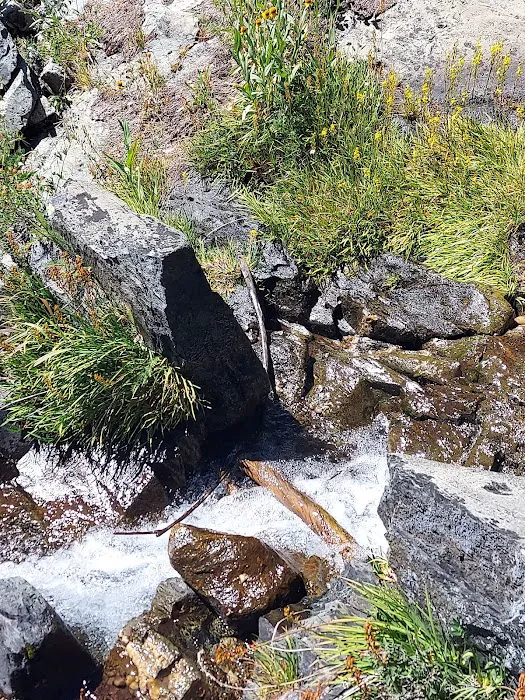 Lakes Basin Campground Picture 6