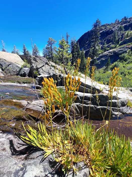 Lakes Basin Campground Picture 9