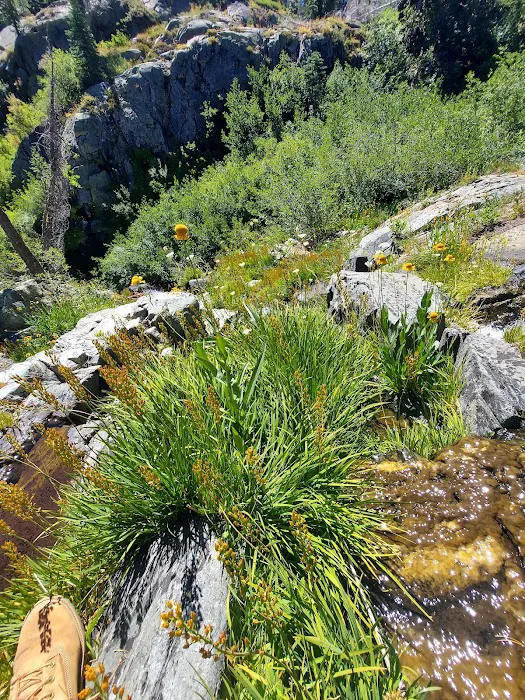Lakes Basin Campground Picture 5