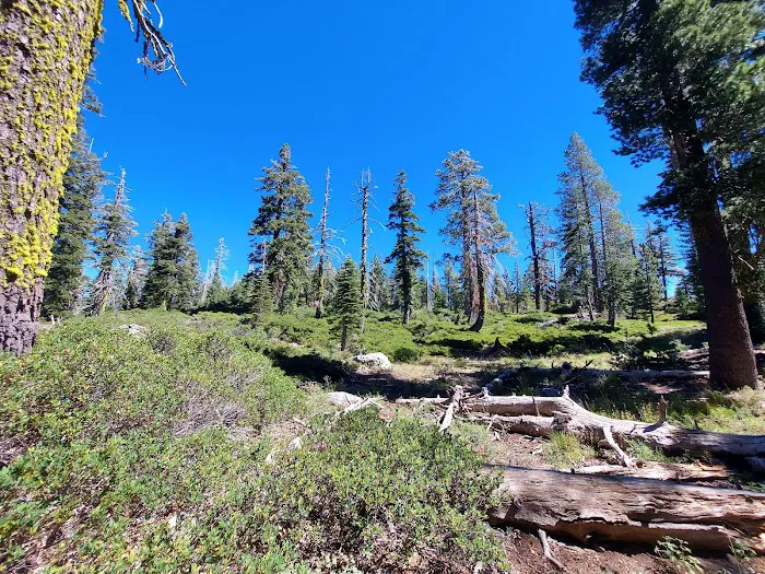 Lakes Basin Campground Picture 3