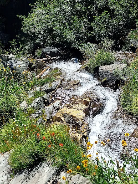 Lakes Basin Campground Picture 10