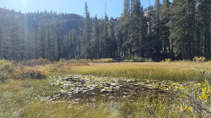 Gold Lake 4x4 Campground Picture 3
