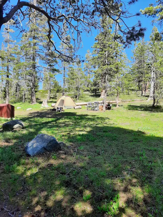 Gold Lake Campground Picture 6