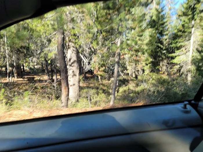 Gold Lake Campground Picture 1