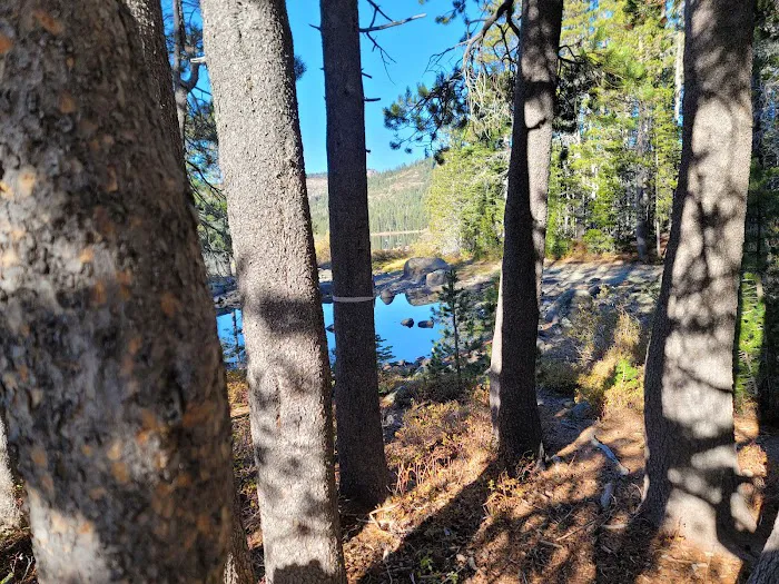 Gold Lake Campground Picture 2