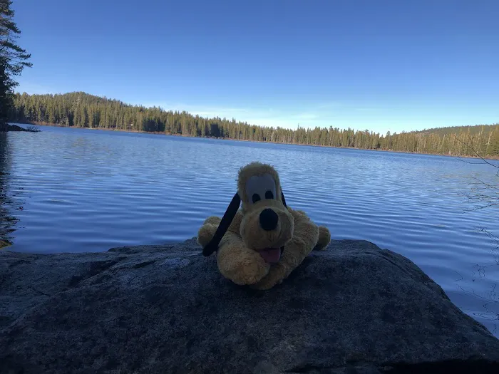 Gold Lake Campground Picture 10