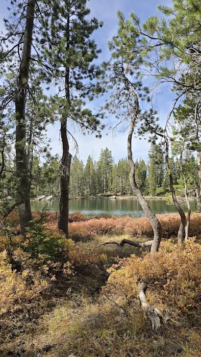 Gold Lake Campground Picture 8