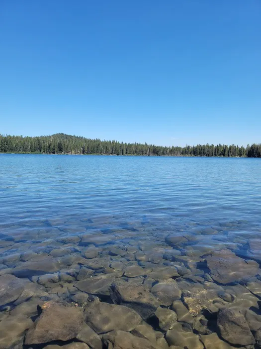 Gold Lake Campground Picture 9
