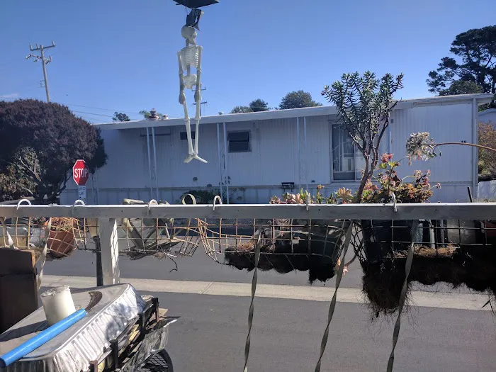 Castle Mobile Estates Picture 4
