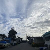 Castle Mobile Estates ico