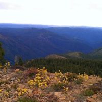 LAKES BASIN ico