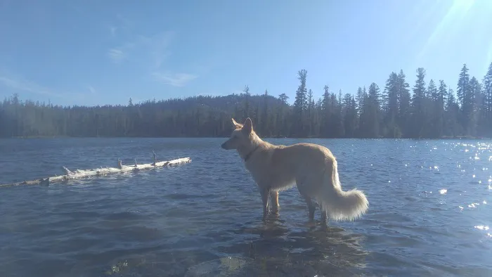 Goose Lake Campground #1 Picture 3