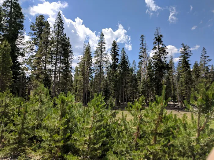 Goose Lake Campground #1 Picture 6