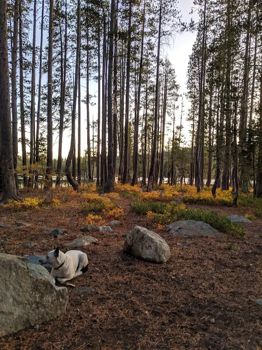 Goose Lake Campground #1 Picture 2