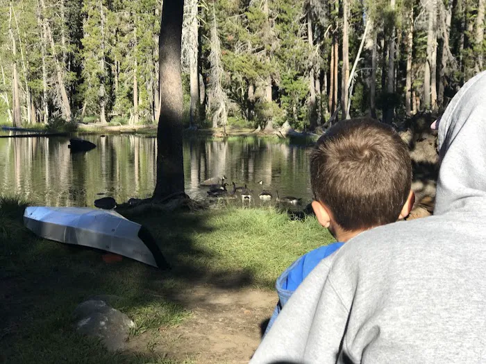 Haven Lake Campground Picture 1