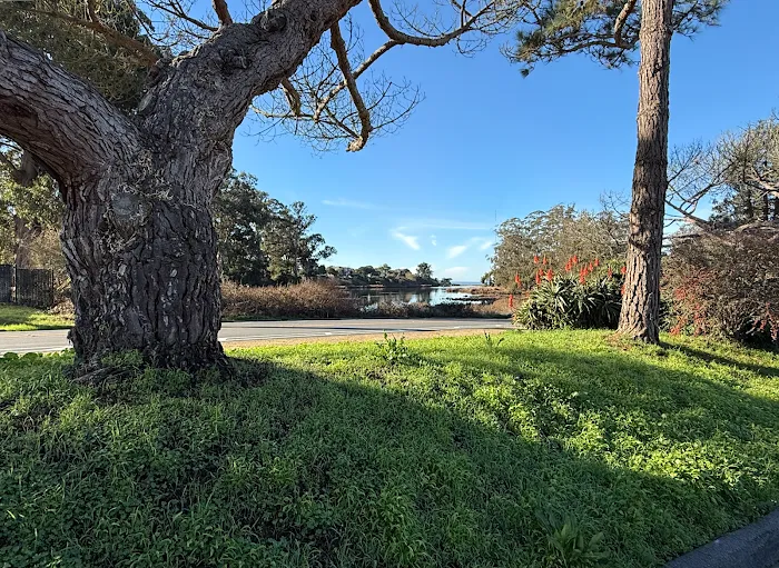 Beach RV Pleasure Point Picture 9