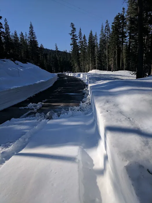 Snag Lake Campground Picture 3