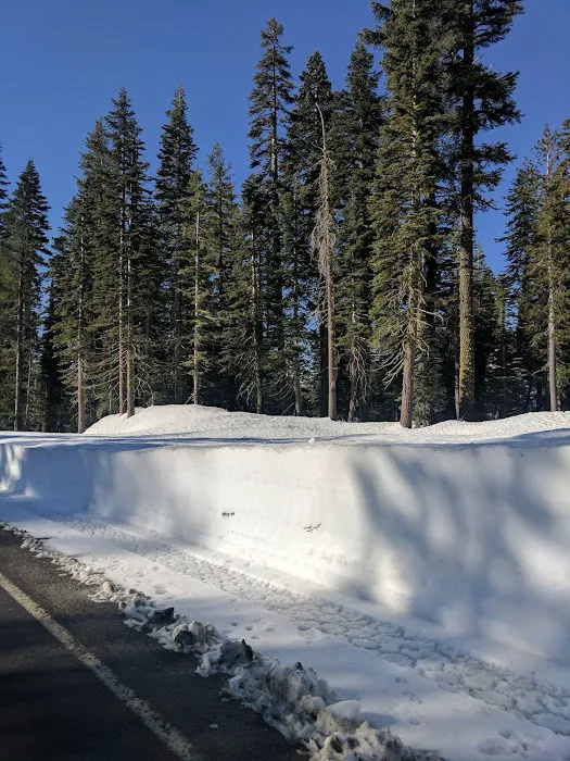 Snag Lake Campground Picture 10