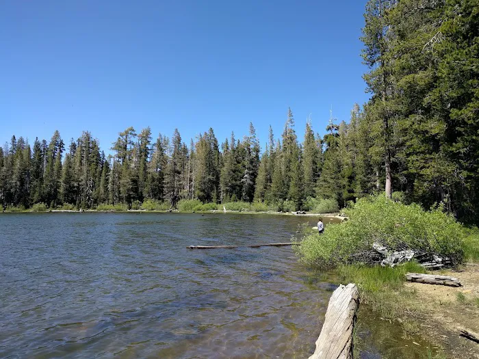 Snag Lake Campground Picture 9