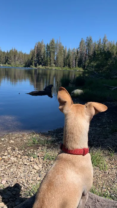Snag Lake Campground Picture 7