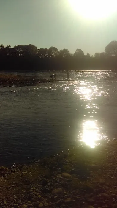 The River Lodge RV Park Picture 6