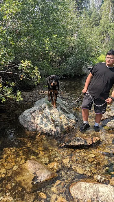 Diablo Campground Picture 8