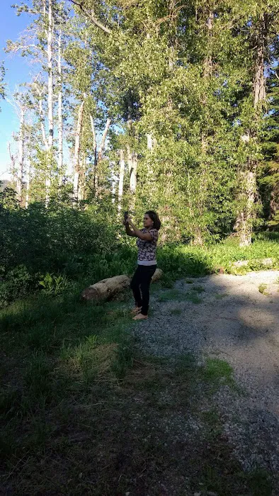 Berger Campground Picture 1