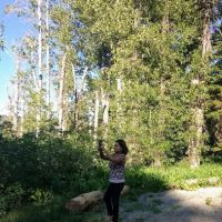 Berger Campground ico