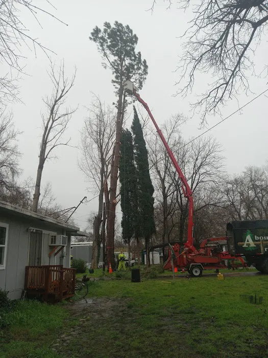 Riverside Crossing RV Park Picture 1
