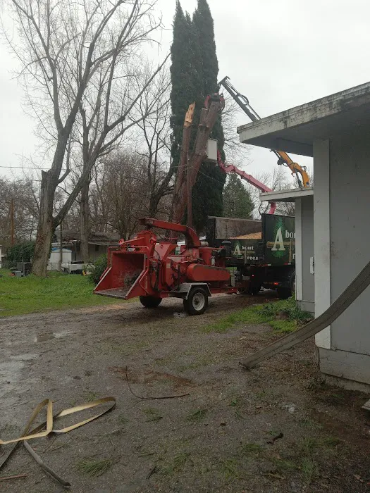 Riverside Crossing RV Park Picture 10
