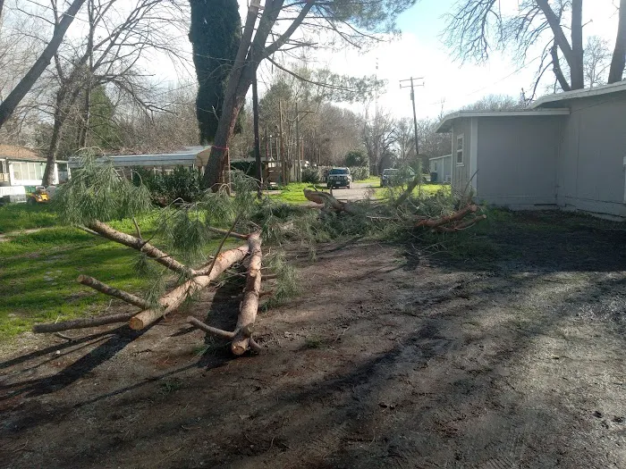 Riverside Crossing RV Park Picture 8