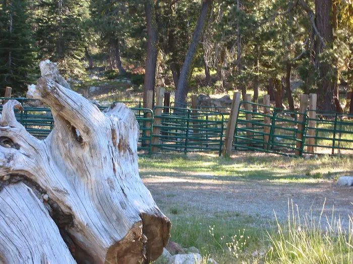Packsaddle Campground Picture 10