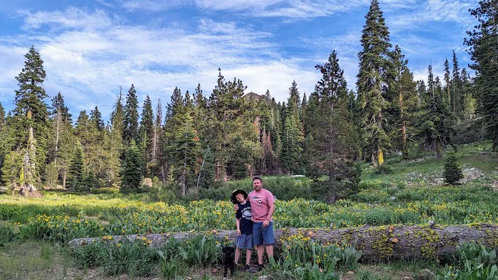Packsaddle Campground Picture 2