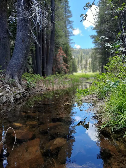 Packsaddle Campground Picture 8