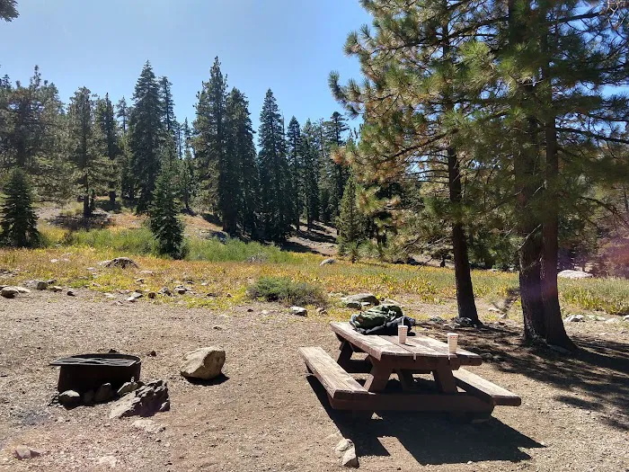 Packsaddle Campground Picture 6
