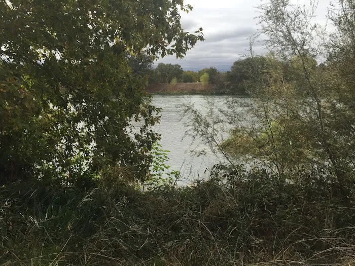 Hidden Harbor Marina & RV Park Picture 2