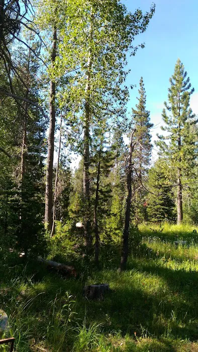 Salmon Creek Campground Picture 3