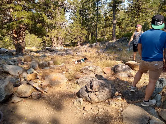 Salmon Creek Campground Picture 2